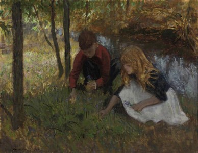 Picking bluebells