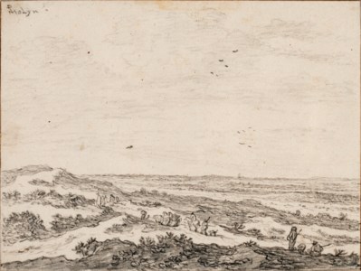 A panoramic dune landscape