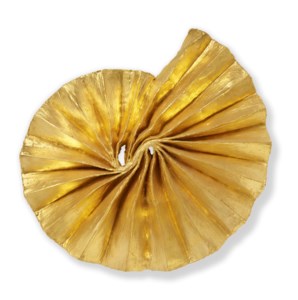 Argonauta