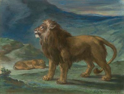 Lion et lionne dans les montagnes