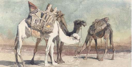Camels at Damascus