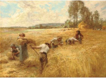 Grande moisson dans la plaine