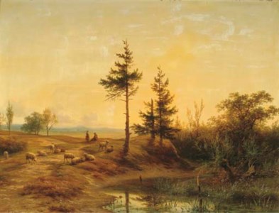An extensive heath landscape