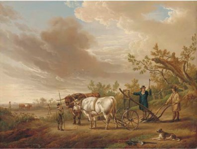 Oxen harnessed to a plough