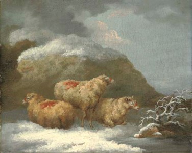 Sheep in a winter landscape