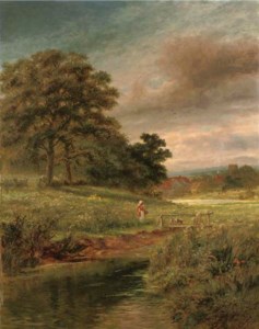 A summer meadow