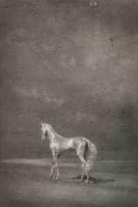Horse No. 2
