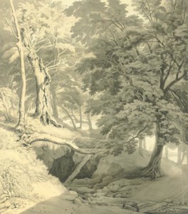 Ugbrooke, Devon