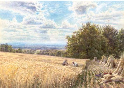 Harvesters in an extensive landscape