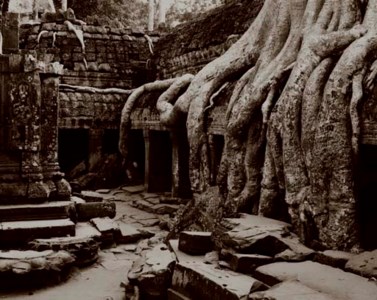 Passages, Ta Phrom, 2001