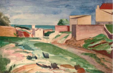 Houses on the coast
