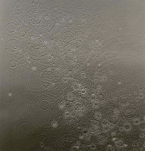 Untitled (Droplets), 1988