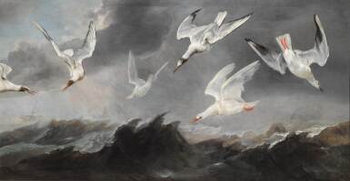 A flock of terns and seagulls above stormy seas