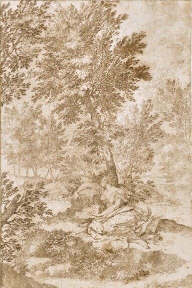 A nymph sleeping under a tree