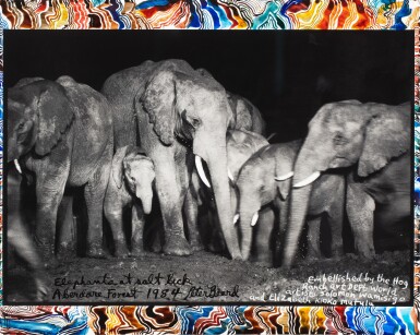 'Elephants at Salt Lick, Aberdare Forest'