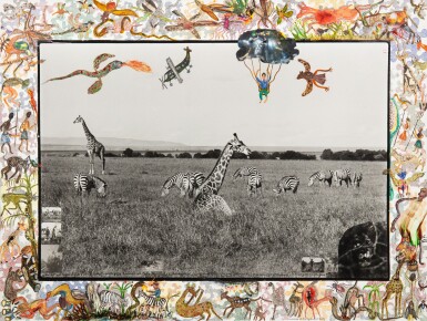 Giraffes and Zebras