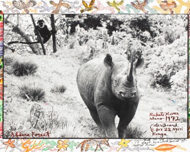 'Ruhuti River Rhino'