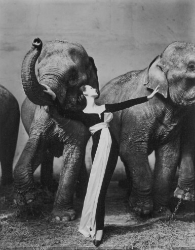 Dovima with elephants, Evening dress by Dior, Cirque d'Hiver, Paris, August 1955