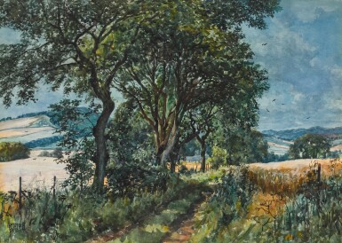 Above Wellbank, Rossie Priory