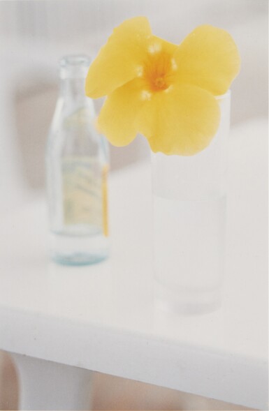 Yellow Flower, St. Barts