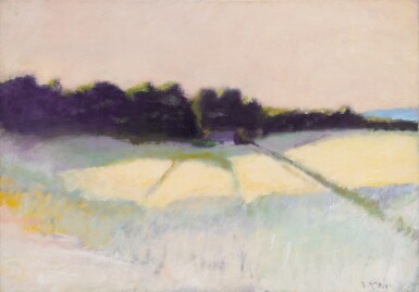 Untitled (Bridal Path, Vermont)