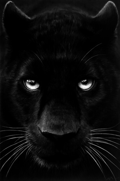 Robert Longo, Untitled (Nina)