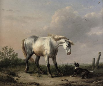 The unimpressed opponent
