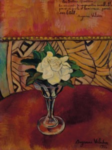 Nature morte à la rose blanche
