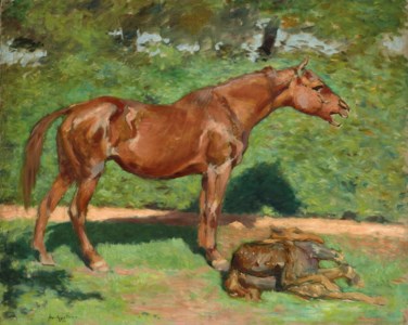 Jument et son poulain