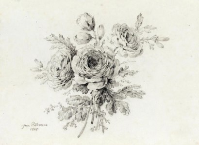 Still life of roses