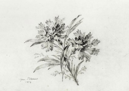 A bunch of narcissi and berries; and A bunch of carnations ( illustrated )