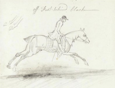 Study of a racehorse with jockey up