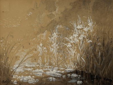 Étang fleuri, étude pour "L'Étang aux nénuphars et libellules"