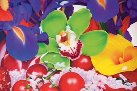 Upper Stratospheric Photochemistry