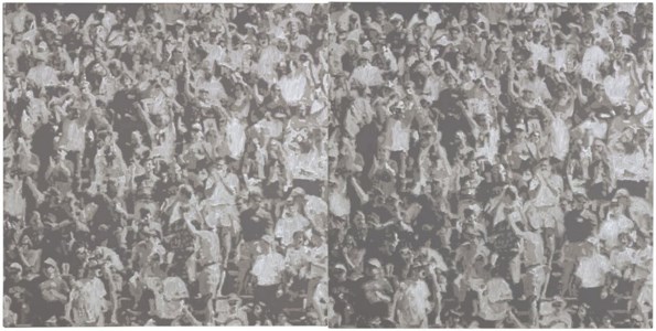 Cheering Crowd