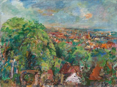 Wien, Blick vom Liebhartstal II