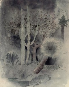 Orange Tree and Cactus