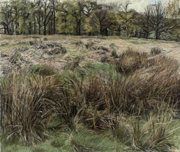 Richmond Park, Spring I
