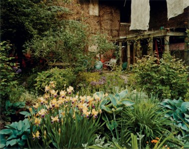Liz Christy Garden, Bowery and Houston Streets, New York, New York, June 2005
