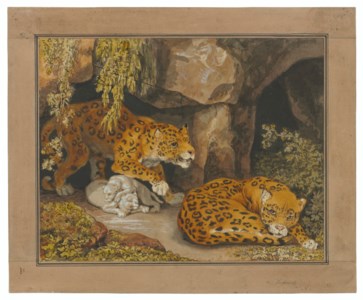 A leopard and leopardess with their cubs at the entrance of a cave