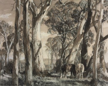 Horses grazing under gum trees