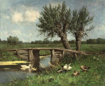 Ducks on the waterfront