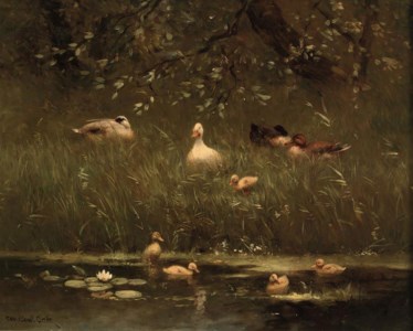 The first swim