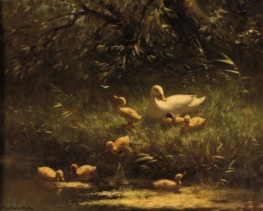Mother duck and her ducklings