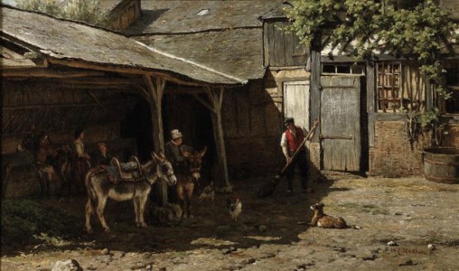 Donkeys in the farmyard