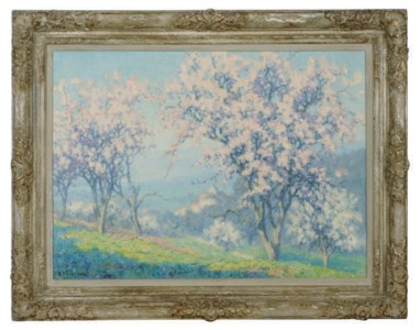Cherry Blossoms