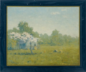 A blossoming tree by the farm