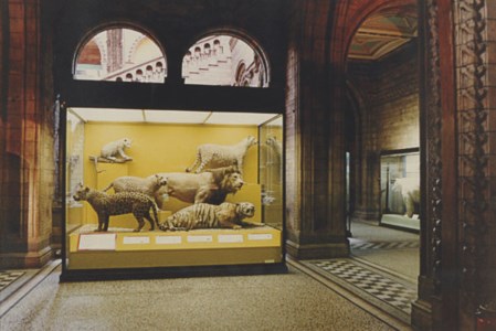 Natural History Museum London I, 1990