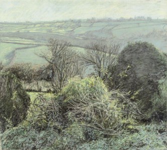 Devon, November Morning in Sunshine