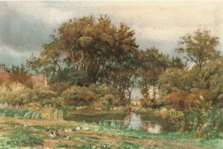 The pond in autumn